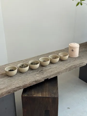 떼드영 팝업 진행사례