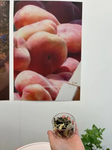 떼드영 팝업 진행사례